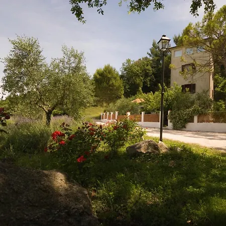 B&B La Torre del Poggio-2